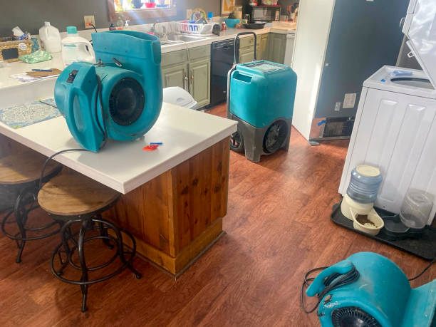 Best Local water damage restoration  in Dryden, MI