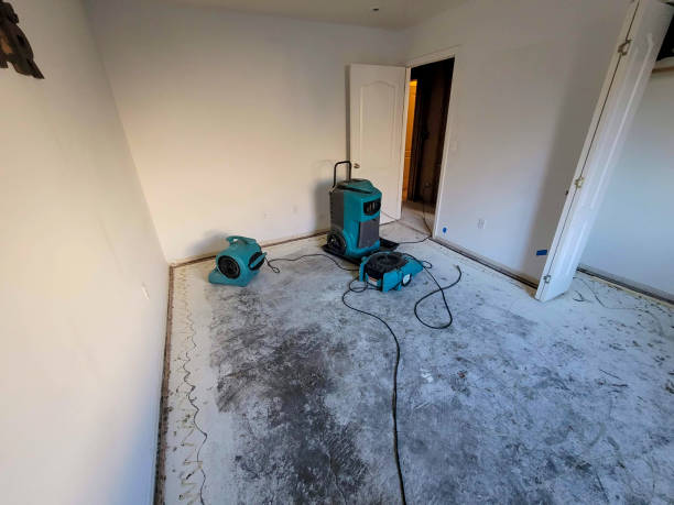 Best Sewage cleanup and water damage restoration  in Dryden, MI