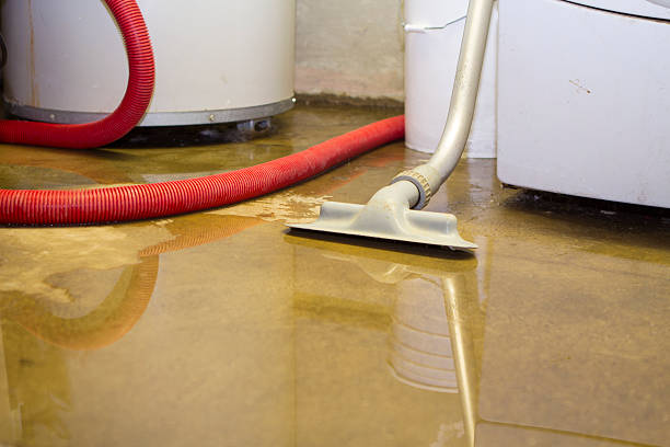 Water damage restoration insurance claims in Dryden, MI