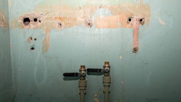 Water damage restoration mold remediation in Dryden, MI