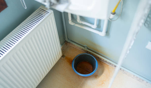 Best Ceiling water damage repair  in Dryden, MI