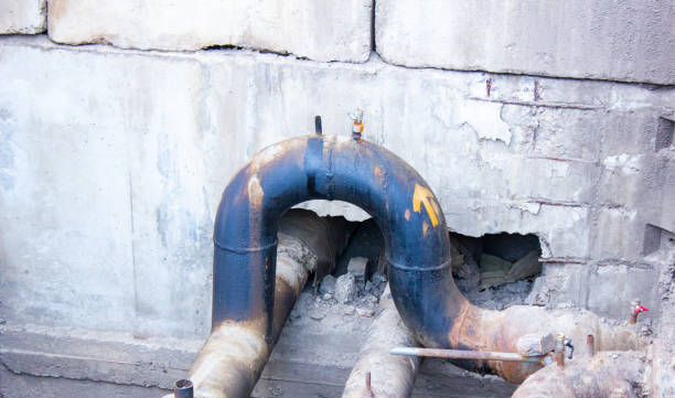 Best Flood restoration services  in Dryden, MI