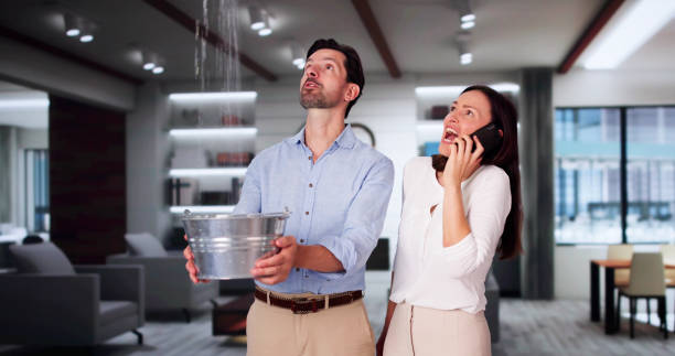 Reliable Dryden, MI Water damage restoration Solutions