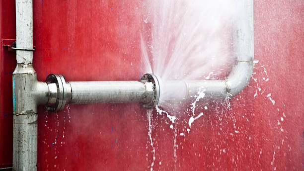 Best Mold removal after water damage  in Dryden, MI